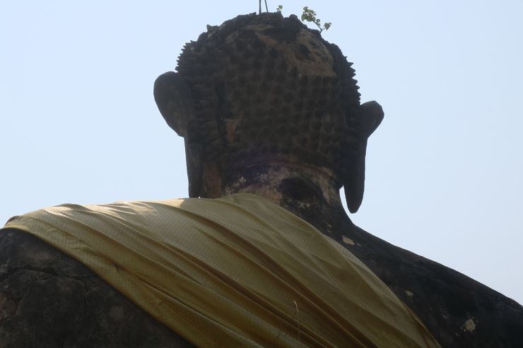 Laos - Xieng Khouang - Bouddha - Vue de dos, tête chauve #5540