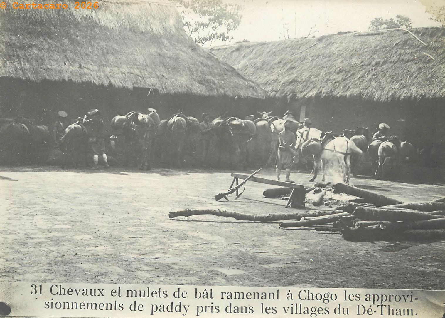 #6239 -31 Chevaux et mulets de Bats ramenant à Cho Go les approvisionnements de Paddy pris dans les villages du Dé Tham
