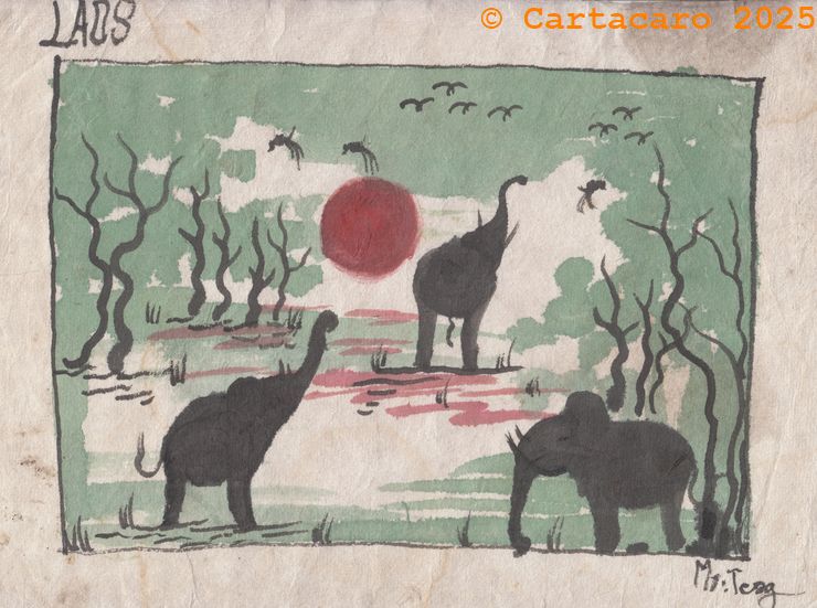 Laos - 2025 - Teng Rattana Eléphants dans la nuit en brousse #5450