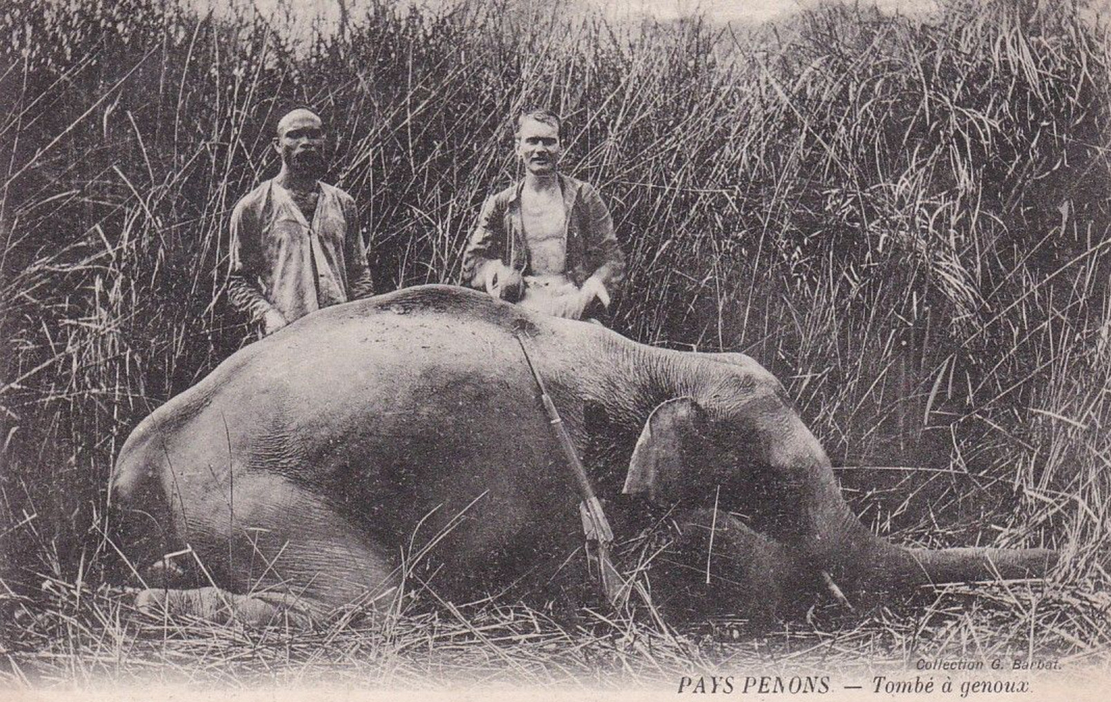 Pays Penon - Tombé à genoux - Barbat @25003 #5352
