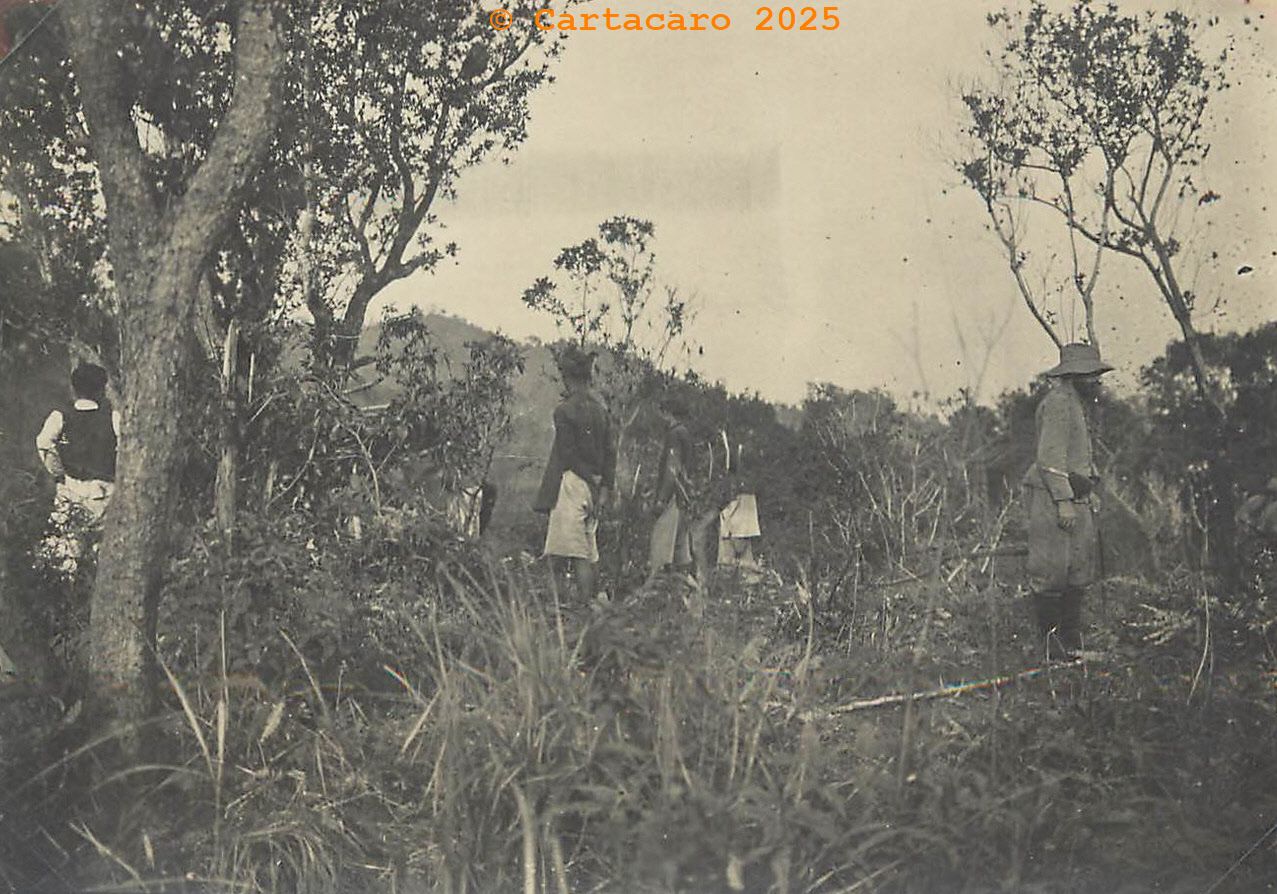 Yen Thé - En forêt - Péri # 5391