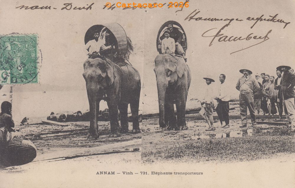 Annam - Vinh - Eléphants transporteurs Dieulefils Noir sans logo avant 1904 - 731 @3224 #6717