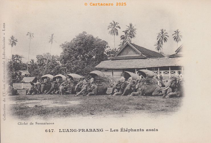 Laos - Luang Prabang Les éléphants assis Sesmaisons 647 UCI ©11058 #5512