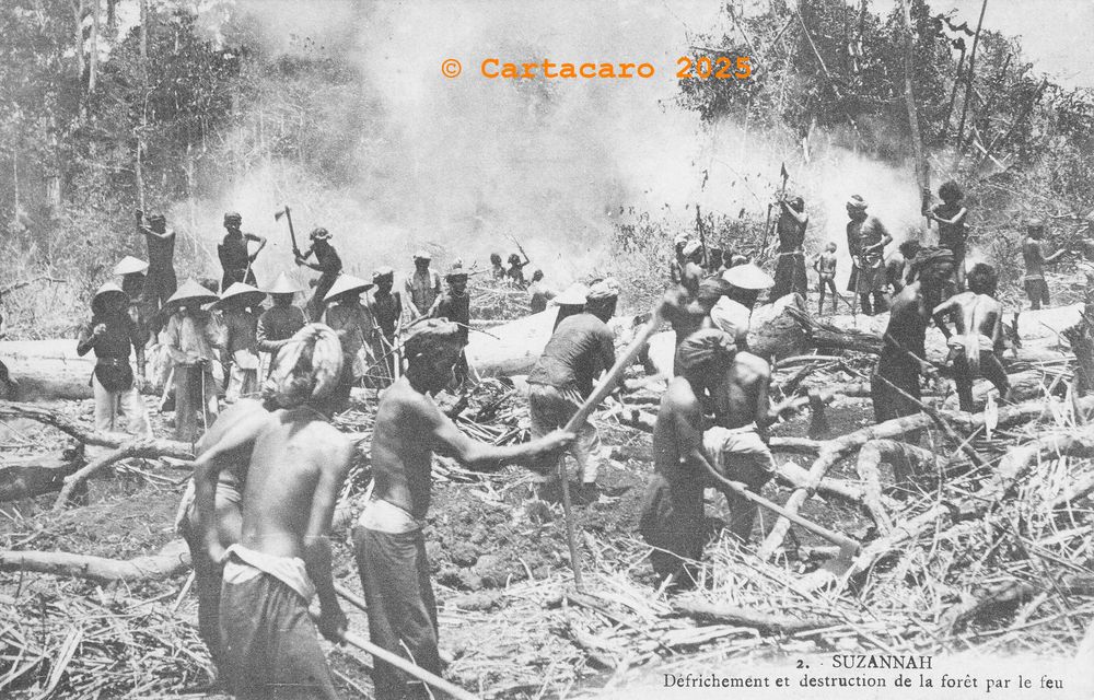 Cochinchine - Susannah 2 Défrichement et destruction de la forêt par le feu éditeur inconnu - @4196 # 5945