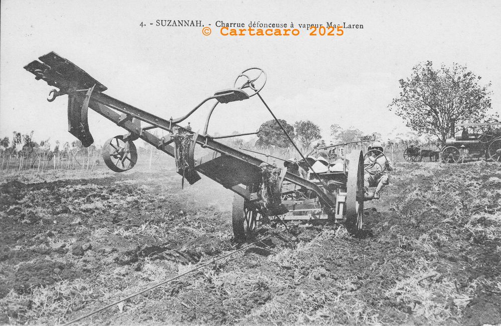 Cochinchine - Susannah 4 Charrue défonceuse à vapeur Mac Lauren éditeur inconnu - @4195 # 5946