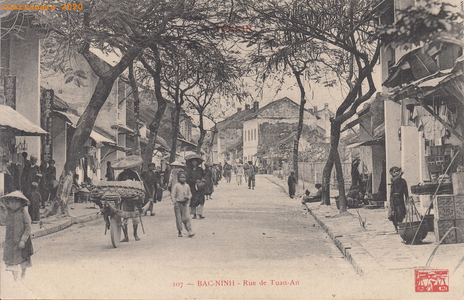 Tonkin - Bac Ninh - Rue de Tuan An - Passignat 107 - ©Cartacaro 2123 (...)