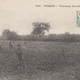 Tonkin - Agriculture - Travaux des champs - (...)