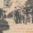 Eléphant du roi d'Annam - Pélissier