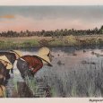 Vietnam Repiquage du riz Nam Phat 155 (…)