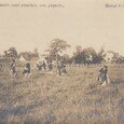 Tonkin 1908 - Les condamnés sont attachés aux (...)