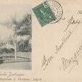 Cochinchine - Saigon - Jardin botanique - (…)