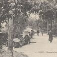 Tonkin - Hanoi - avenue du jardin botanique - (...)