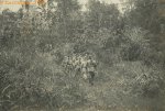 Colonne en marche -@PH 220 #6307