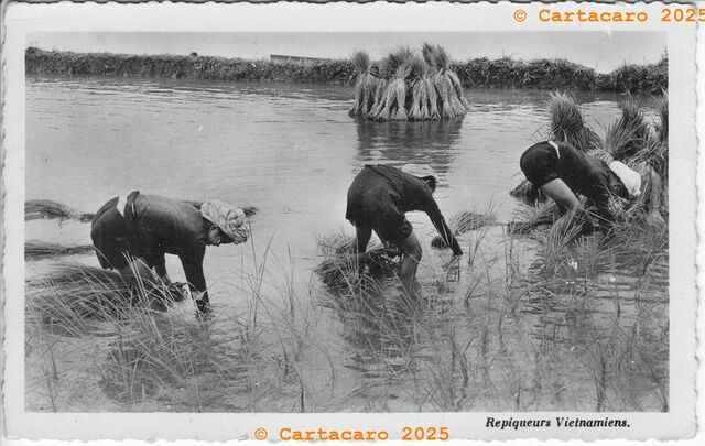 Vietnam Repiqueurs vietnamiens éditeur inconnu @M4120 #5846 {JPEG}